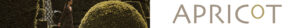 Apricot