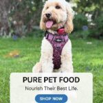 Pure Pet Food: Natural, Human-Grade Dog Nutrition Available Through FunTimeWorld.co.uk