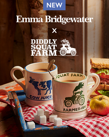 Emma Bridgewater 2