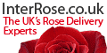 InterRose 2